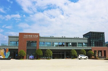 大安小程序开发公司