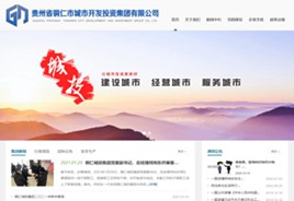 大安城市开发投资集团有限公司