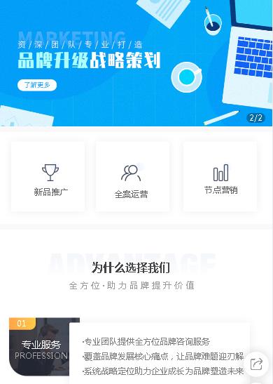 大安咨询策划小程序开发