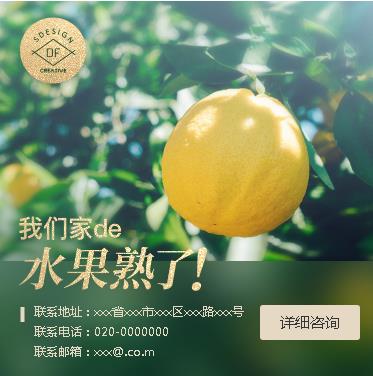 大安果园果林小程序开发